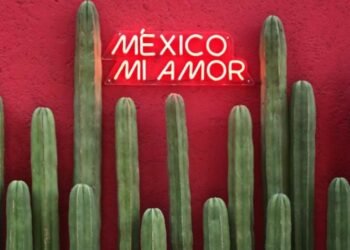 Explora la Ciudad de México 