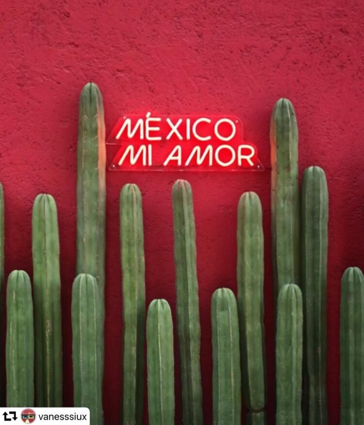 Explora la Ciudad de México