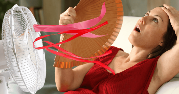 Cómo combatir la ola de calor: consejos para mantenerse fresco en este verano abrasador