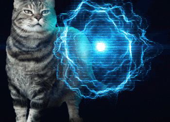 Domingos con Tabs el Astuto, Mascota del Blog de Maquillaje y Belleza, Vol. 822